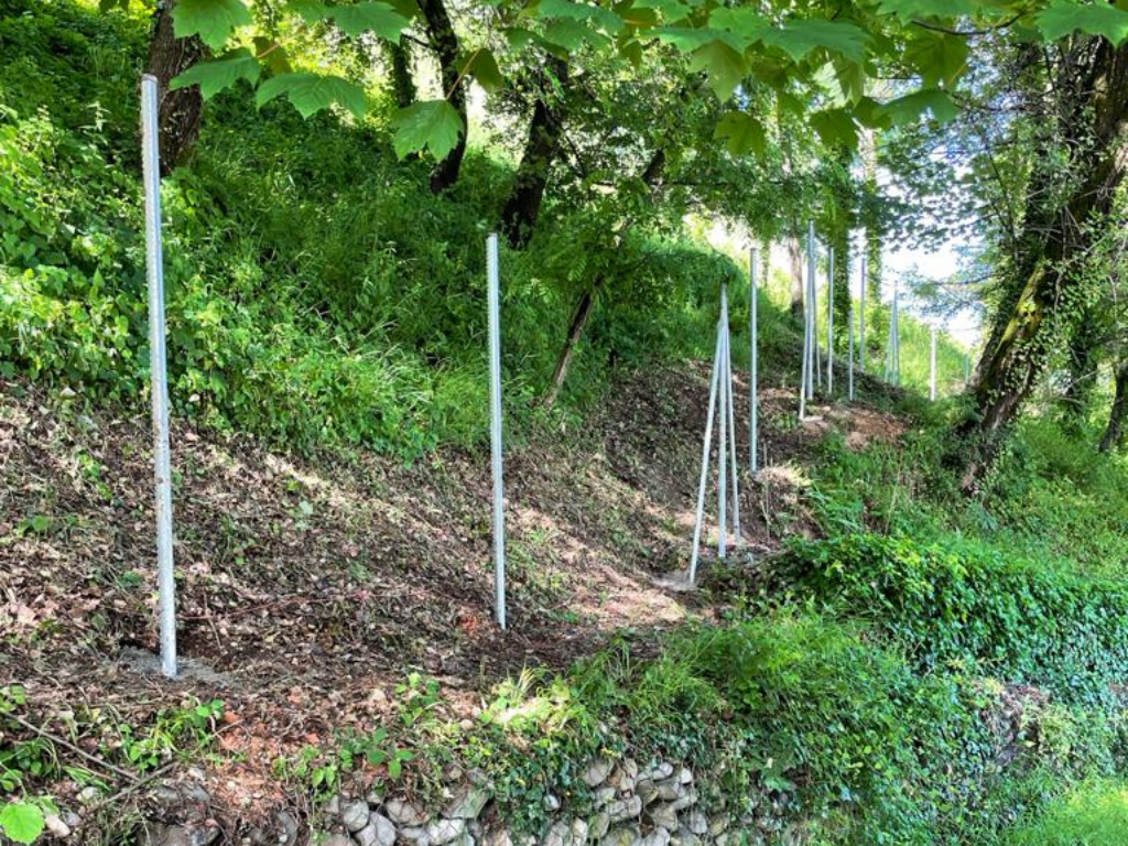 Clôtures grillages simple torsion - Provence clôtures